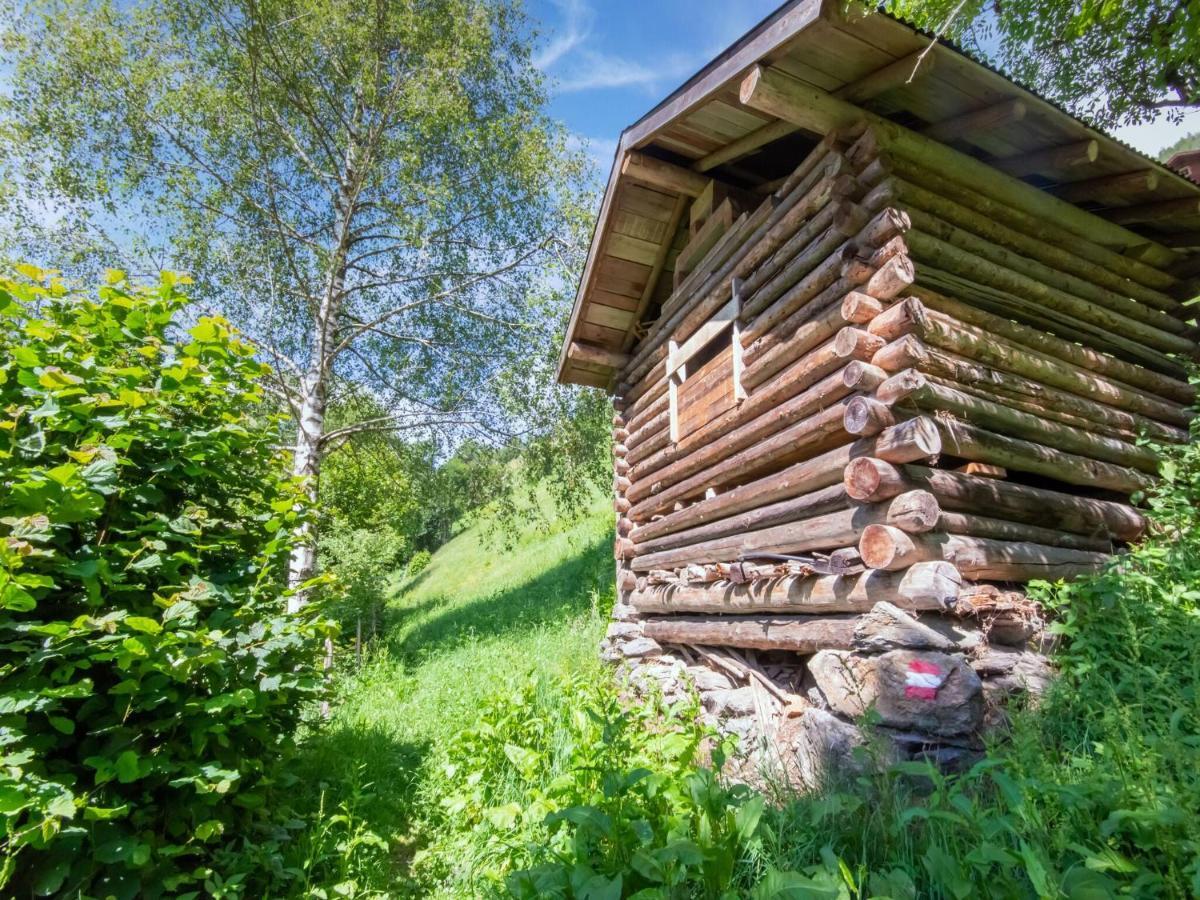 Cosy Holiday Home At The Wildkogel برامبرغ ام ويلدكوغه المظهر الخارجي الصورة